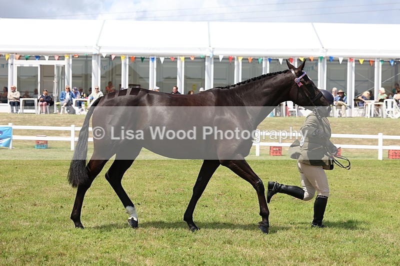 3E7A1243 - Class 8: Open Riding Horse/Hack