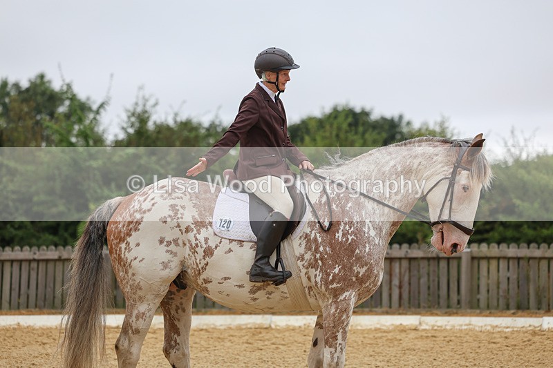 3E7A5034 - Class 2: Intro 4 2024 section B