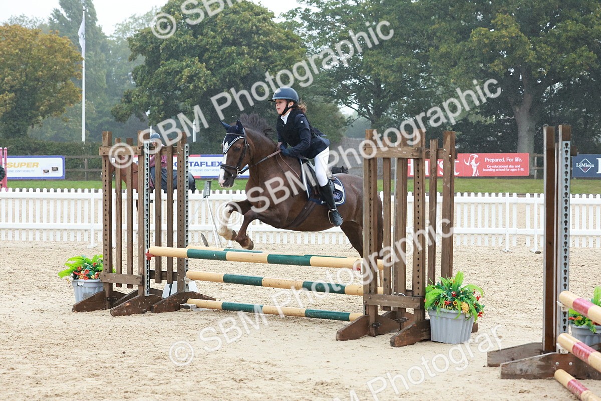 SBM_73427 - Supreme Championship Junior Pony 60cm & 65cm