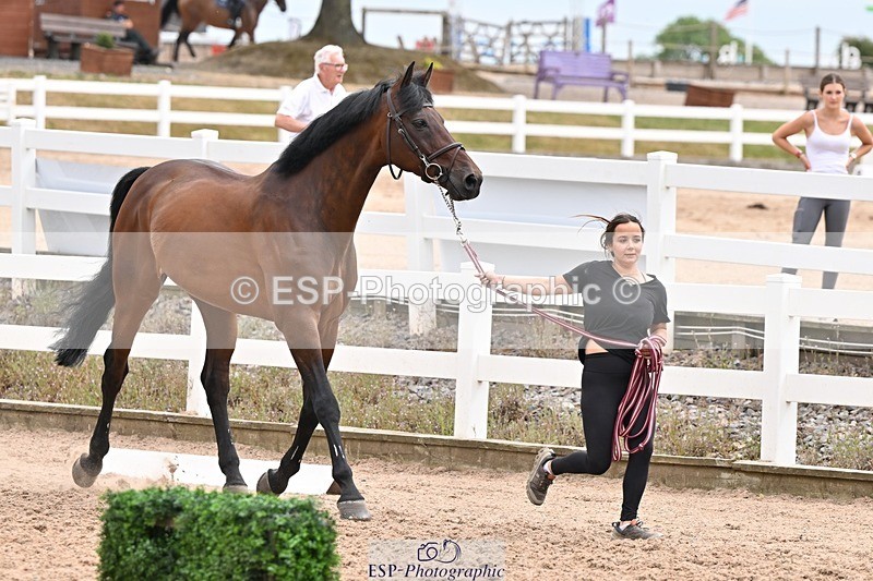 250716-144606-01379 - Trot Up 2.30 to 3.30