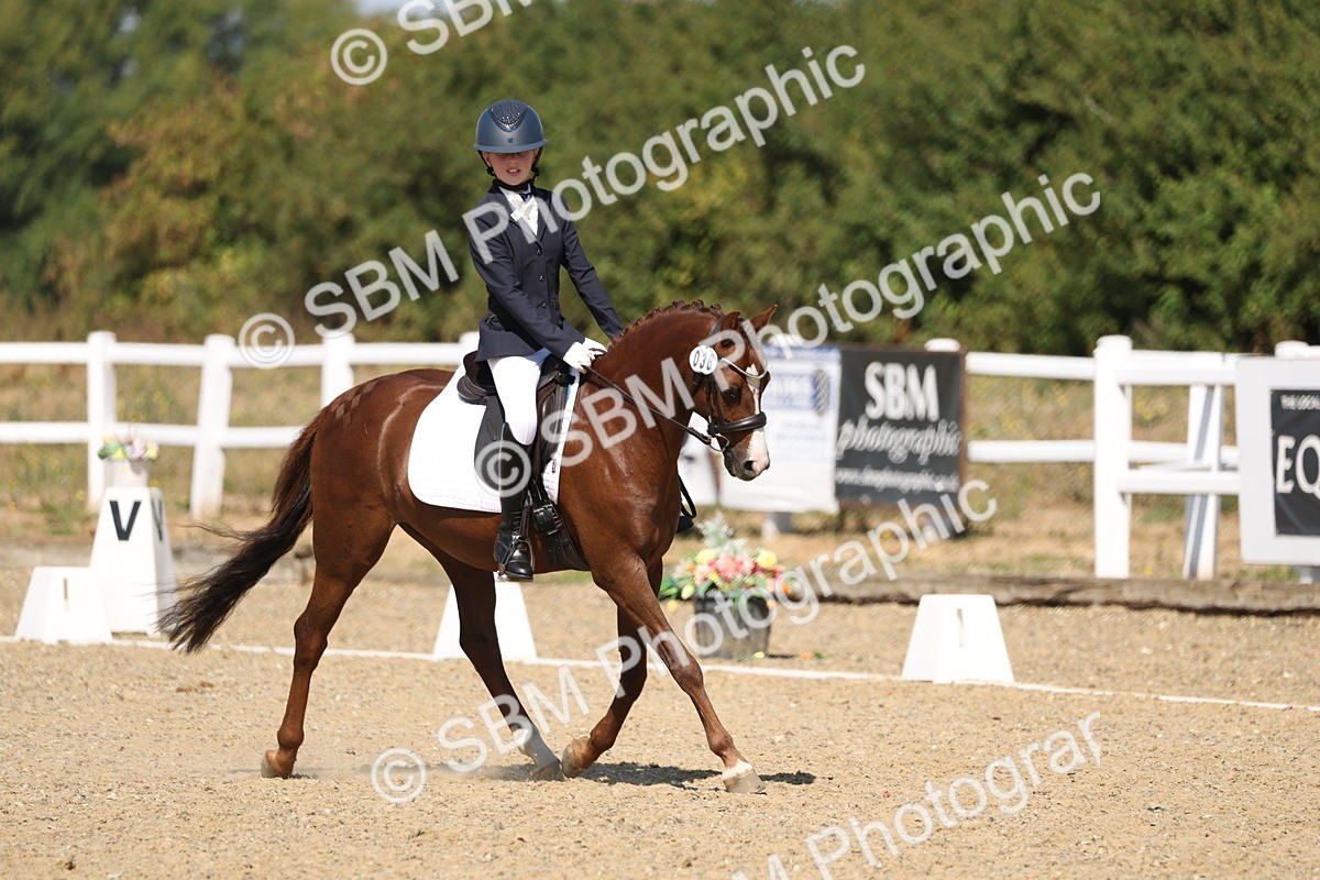 SBM_013710 - Class 1 - P5 Bronze 10.38.12.02
