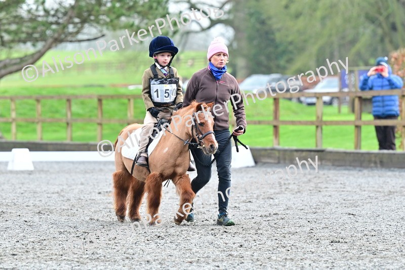 20260125-0935 - Class 9a - Walk Trot Assisted