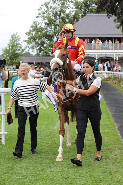 yr23072022r2-52 - Race 2 2.40pm Sky Bet Dash
