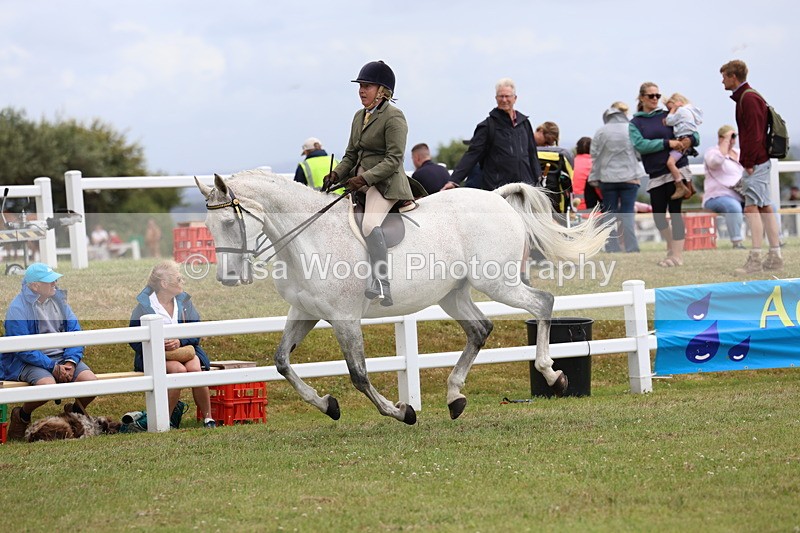 3E7A1024 - Class 8: Open Riding Horse/Hack