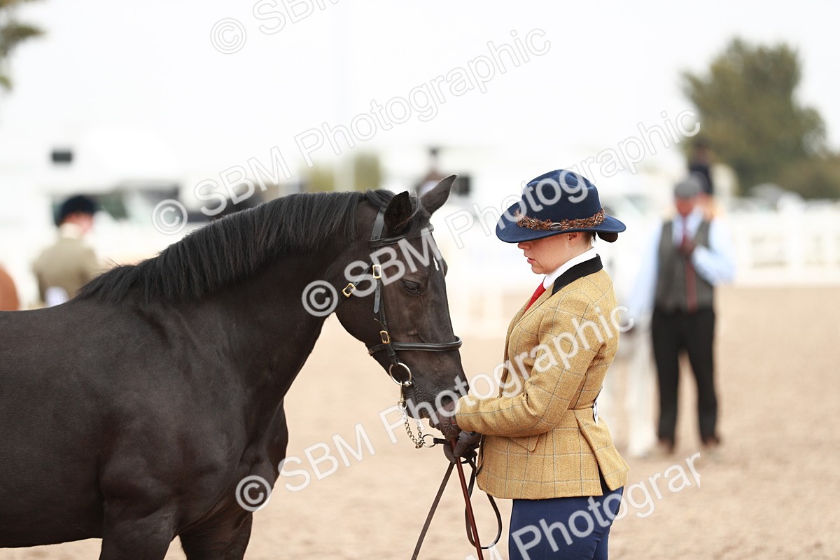 SBM_12518 - Class 207 IH M&M