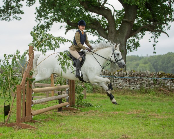 Dunblane show-552 - Dunblane and Doune Show Ring 1