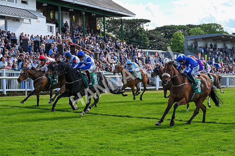 310526-Race 3-Al Hussar-8592 - Race 3 16.45pm Sky Bet Club Handicap