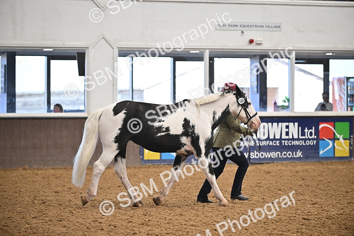 SBM_000294 - Class 10 - In Hand Coloured & Odd Coloured
