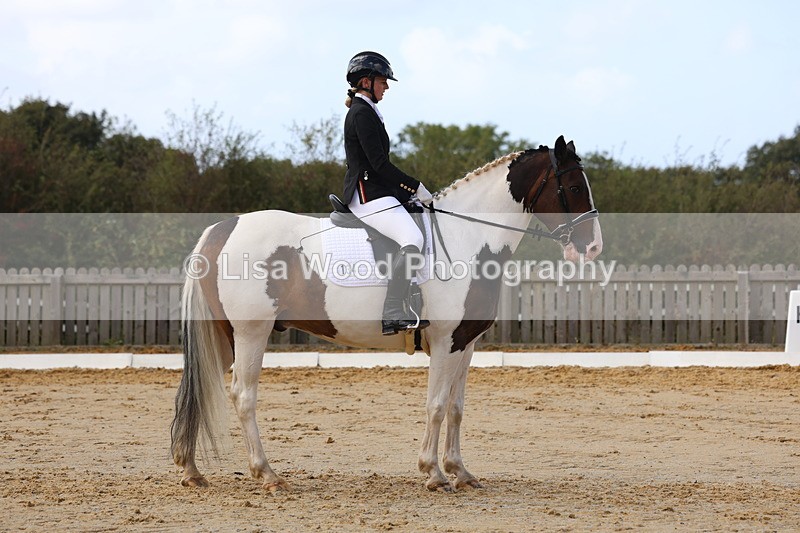 3E7A4179 - Class 9: Novice 6 Section B Championship