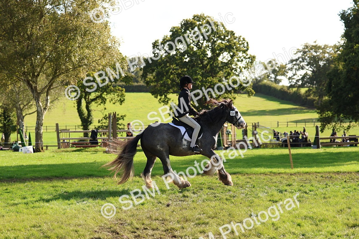 SBM_52420 - S13 - Pony Club Pony