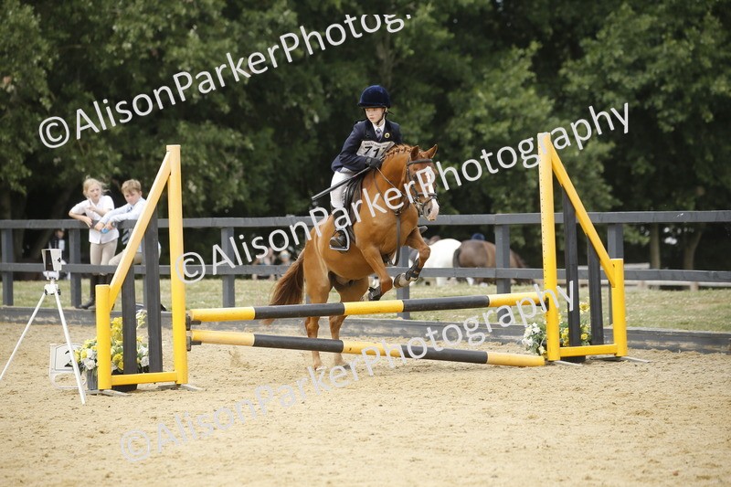 20250622-5938 - 60cm