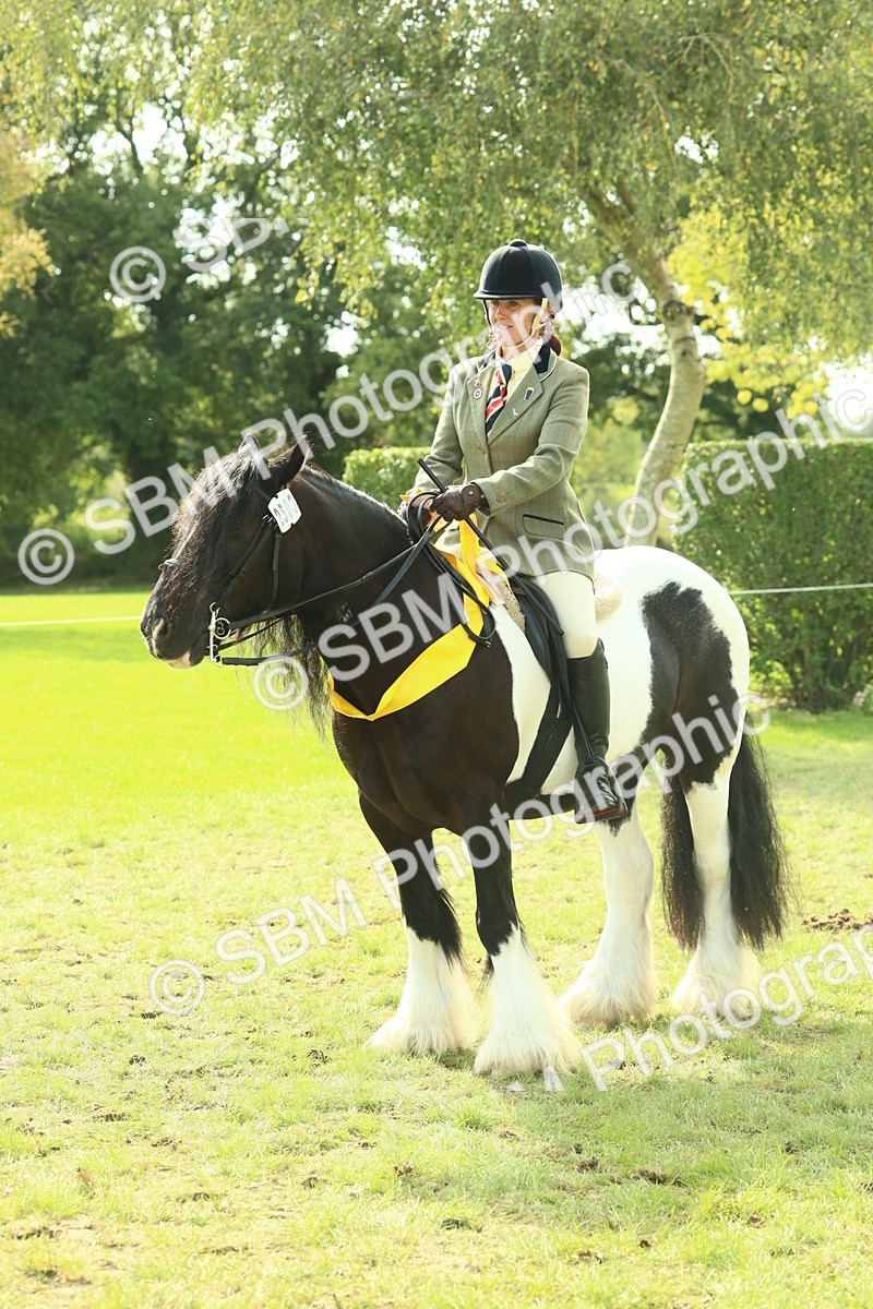 SBM_68985 - S58 - Mini Show Cob Ridden