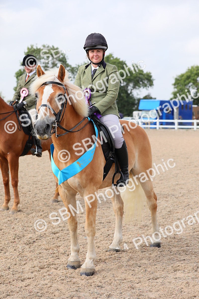 SBM_11497 - Class 305 Ridden Foreign Breeds- Pure Bred