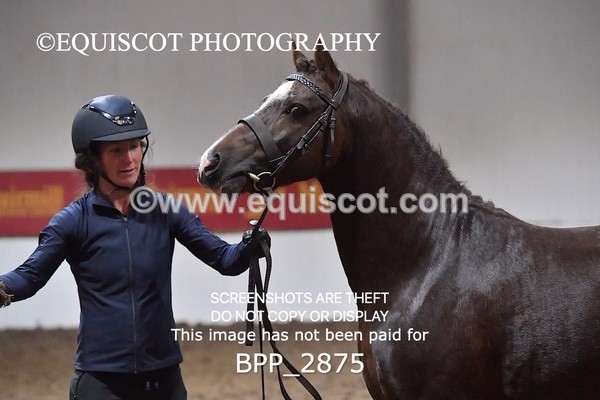 BPP_2875 - LOOSE JUMPING / SPSS