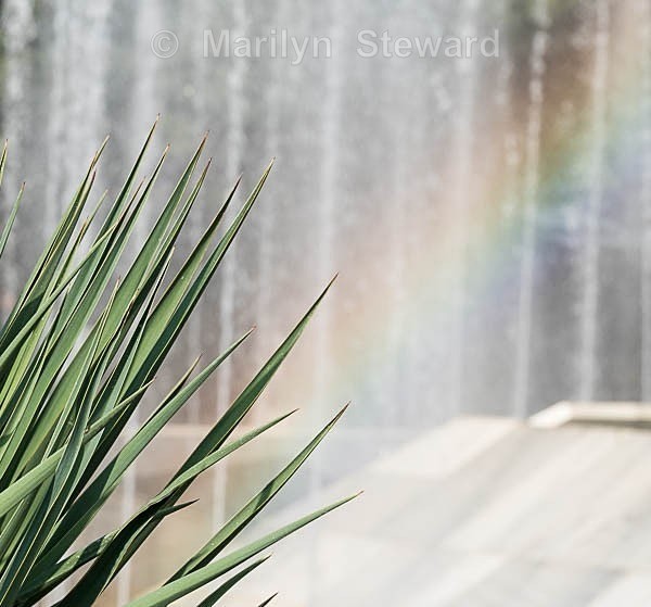 Pleven, fountain rainbow. - Capitals of Eastern Europe