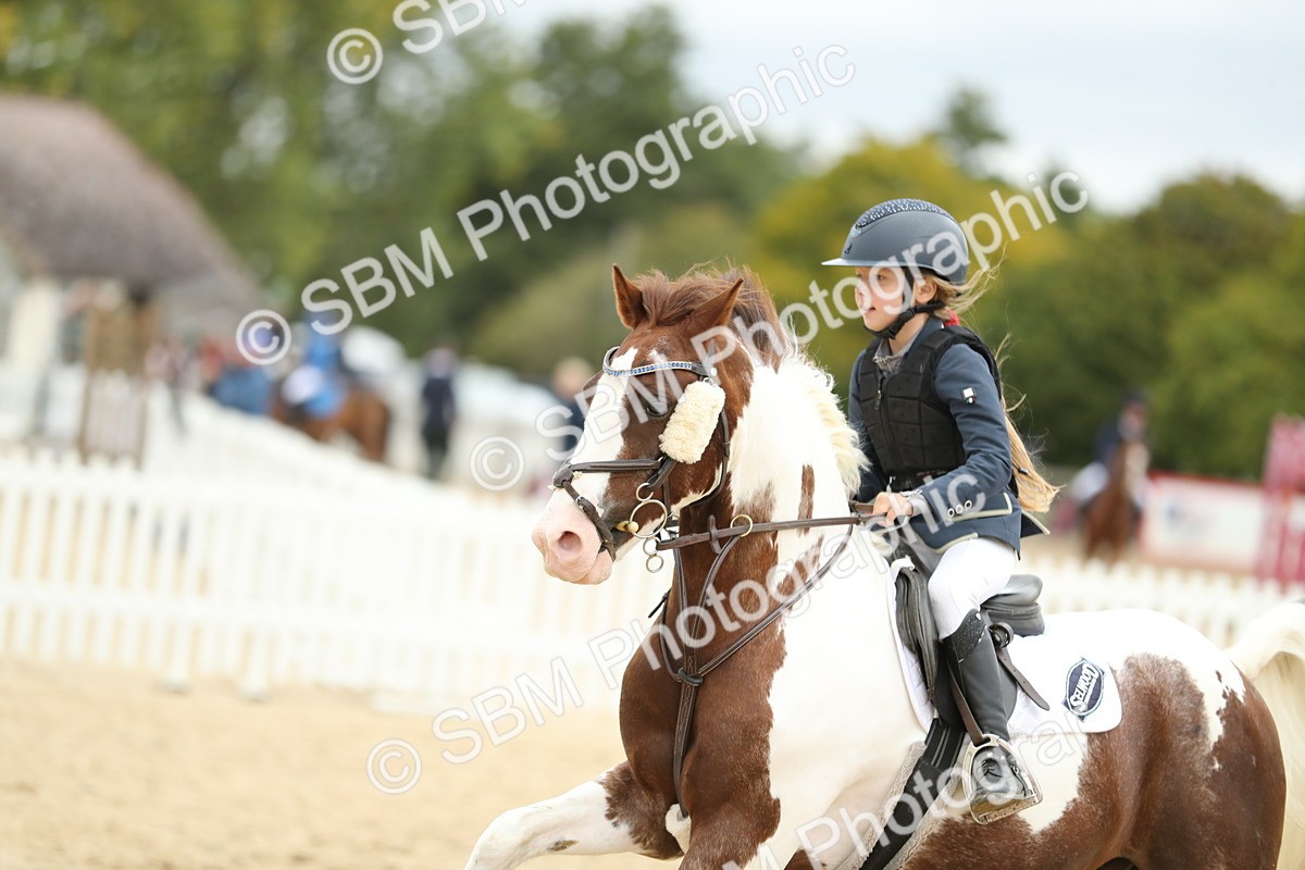 SBM_67865 - J15 - Junior Pony 70cm Championship