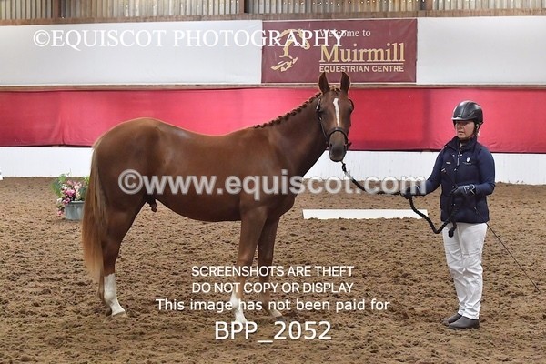 BPP_2052 - AFTERNOON 12.30 - 3.30PM