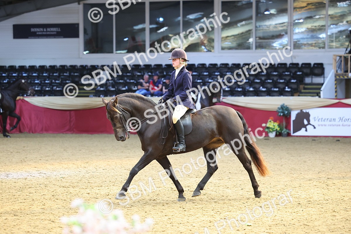 SBM_24553 - Class 906 - Supreme Final - Ridden Pre Vet
