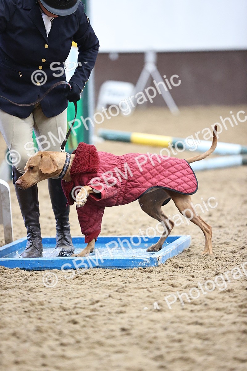 SBM_001478 - Class 3 - Horse & Hound 60cm