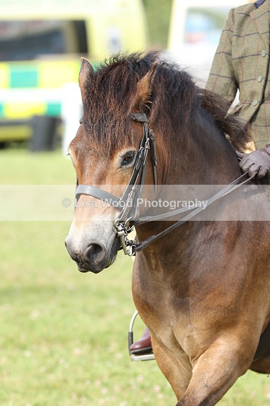JPP_0777 - Class 16: Cornish Combination Young Rider