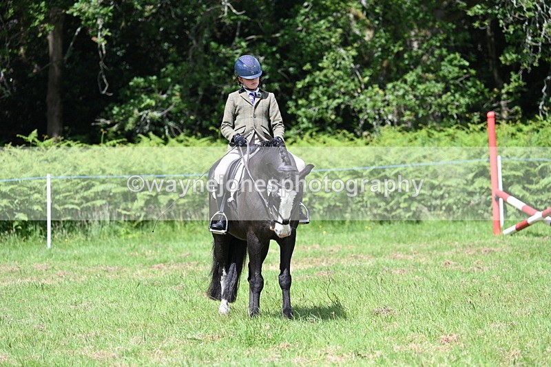 WJ7_1754 - Class 9 Pony Club Pony