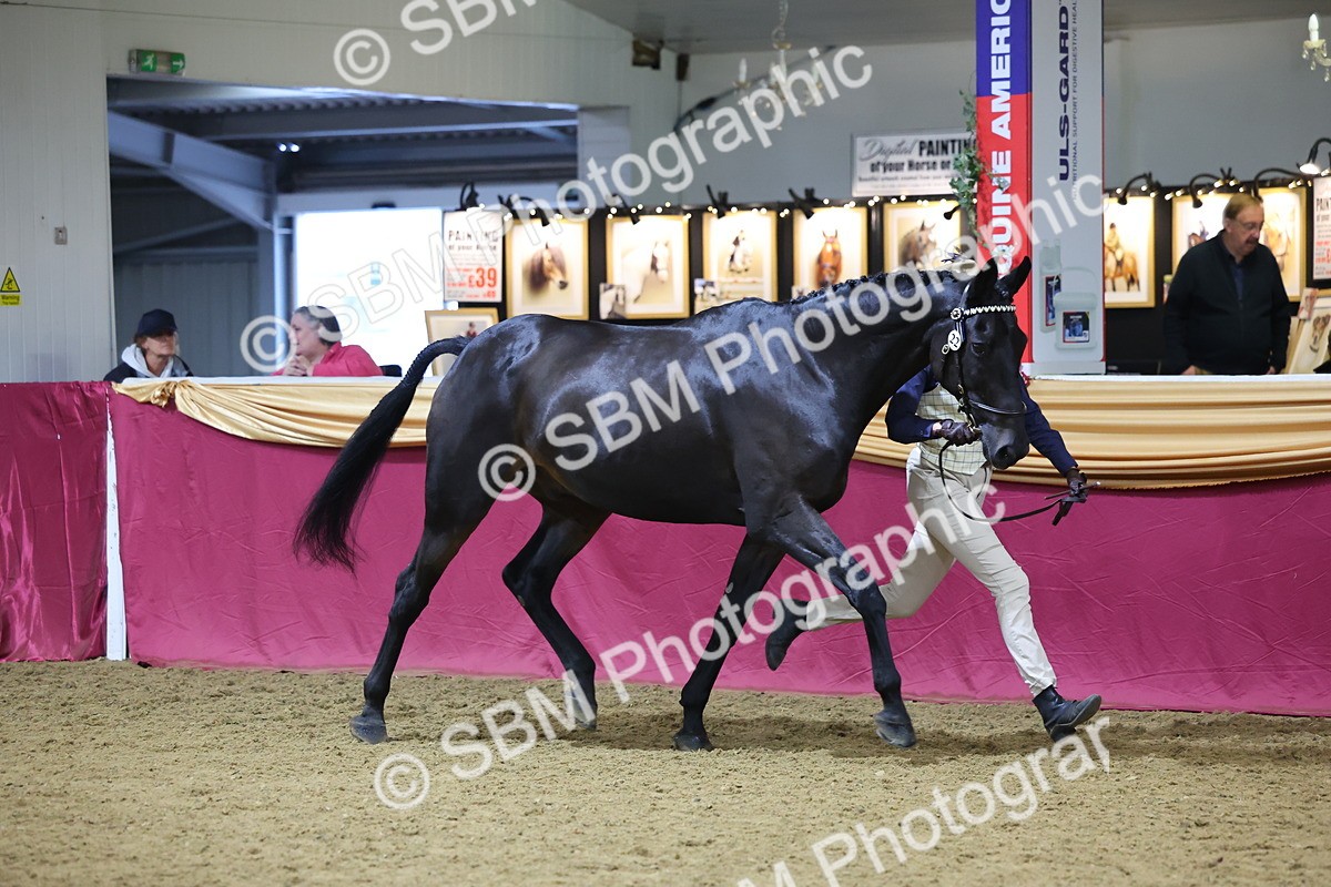 SBM_20778 - Class 902 - Supreme Final IH Veteran