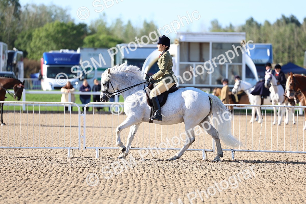 SBM_08847 - Class 302 - Ridden M&M - Large Breeds