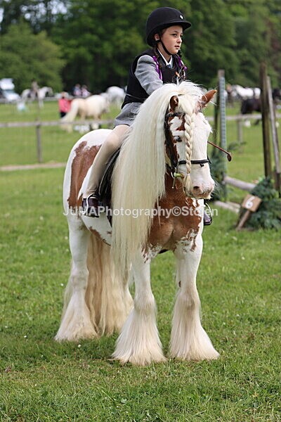 IMG_2591 - Working Hunter