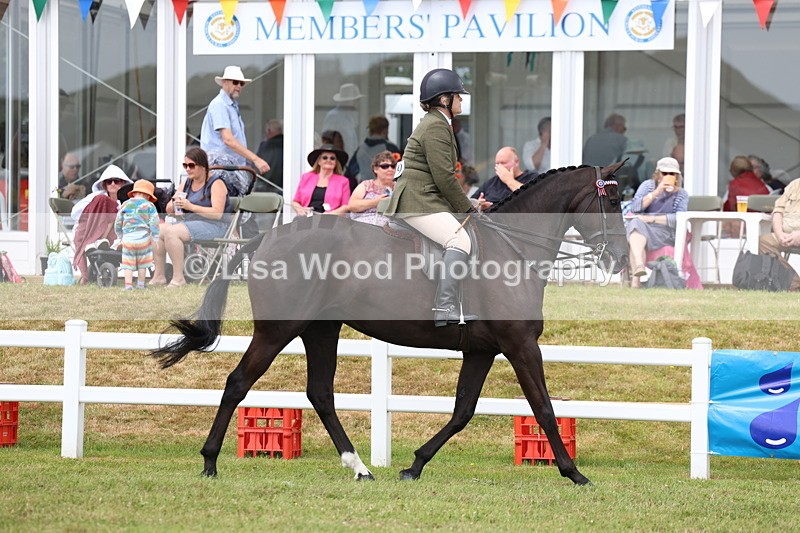 3E7A0818 - Class 8: Open Riding Horse/Hack