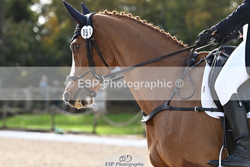 251023A-142222-05506 - B-151-Miranda.Staveley