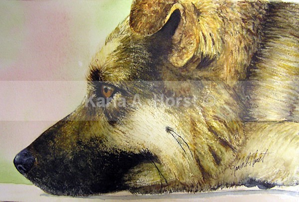 Study of Sophie - Pet Portraits