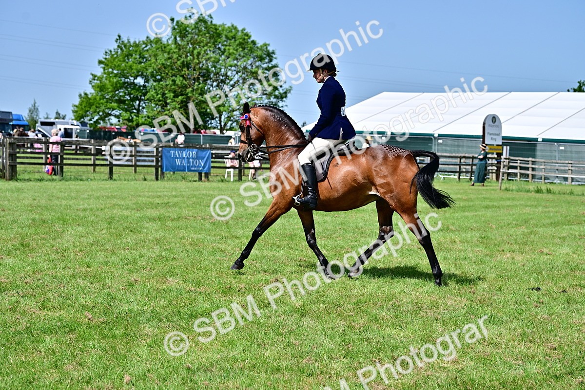 SBM_03746 - Class 58 - TSR  Ridden Veteran Amateur of the year