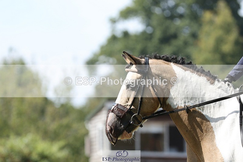 250823A-133459-31320 - Arena D