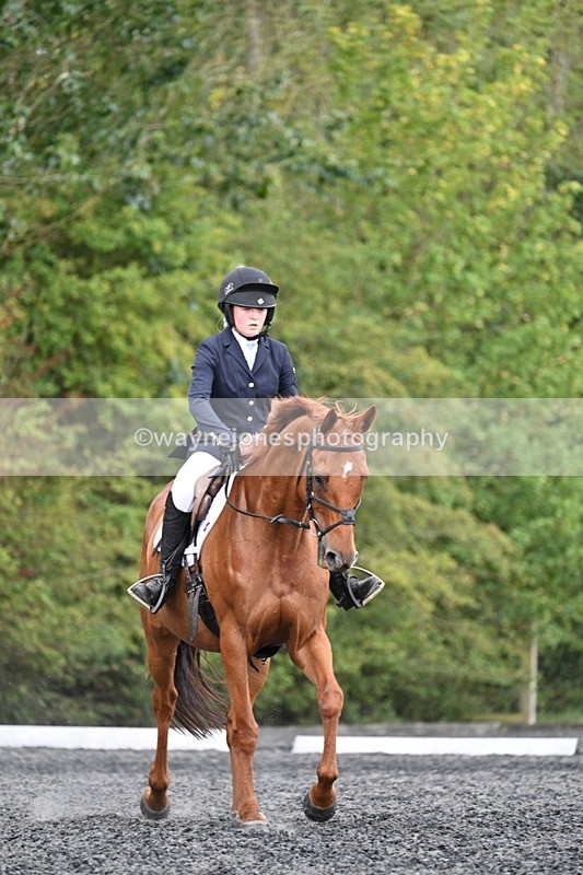 WJ7_7915 - Time 13:40 to 14:00