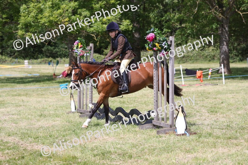 20260614-1754 - Class 21 - Novice Working Hunter Pony
