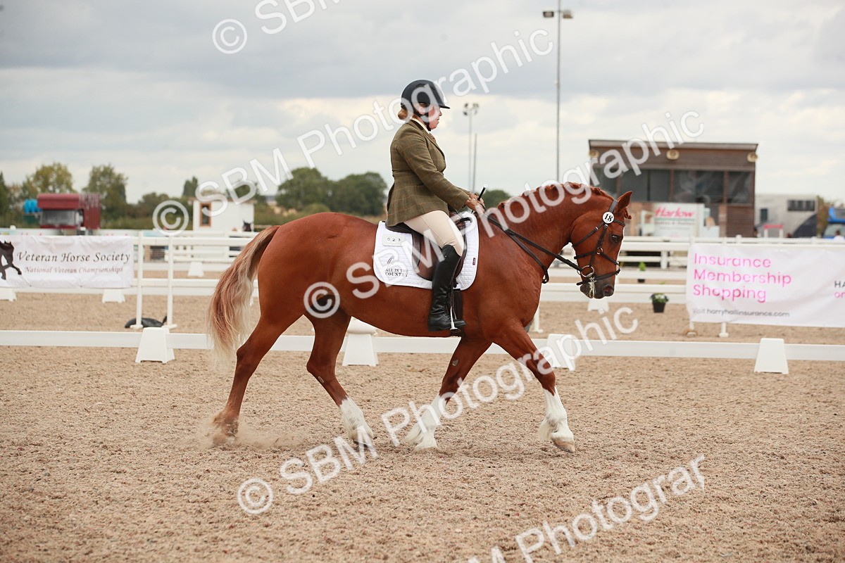 SBM_06087 - Class 33 - Elementary 1