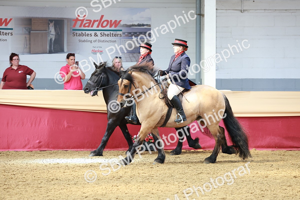 SBM_15532 - Class 109 - Ridden Pairs -Section A