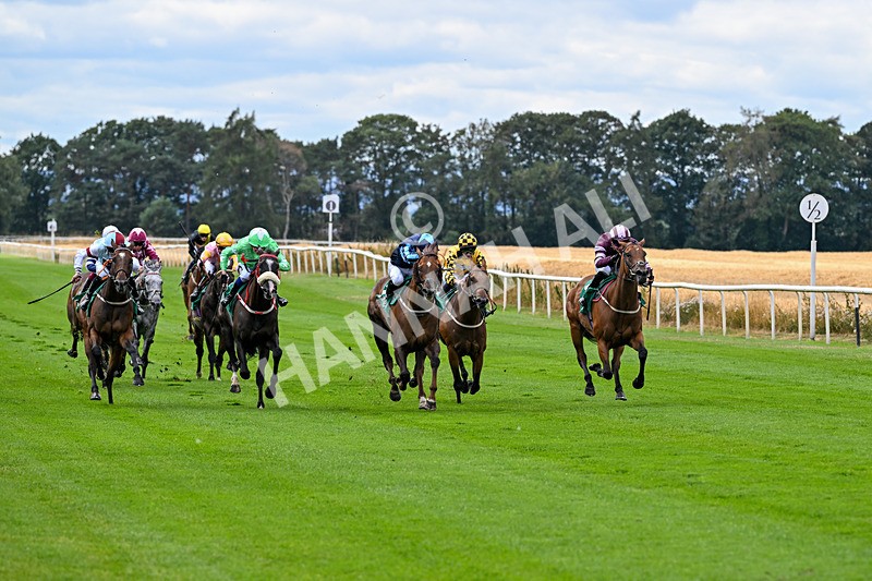 070826-Race 1-Drish Samphire-1334 - Race 1 14.10pm goracing.co.uk Future Stars Apprentice Classified Stakes