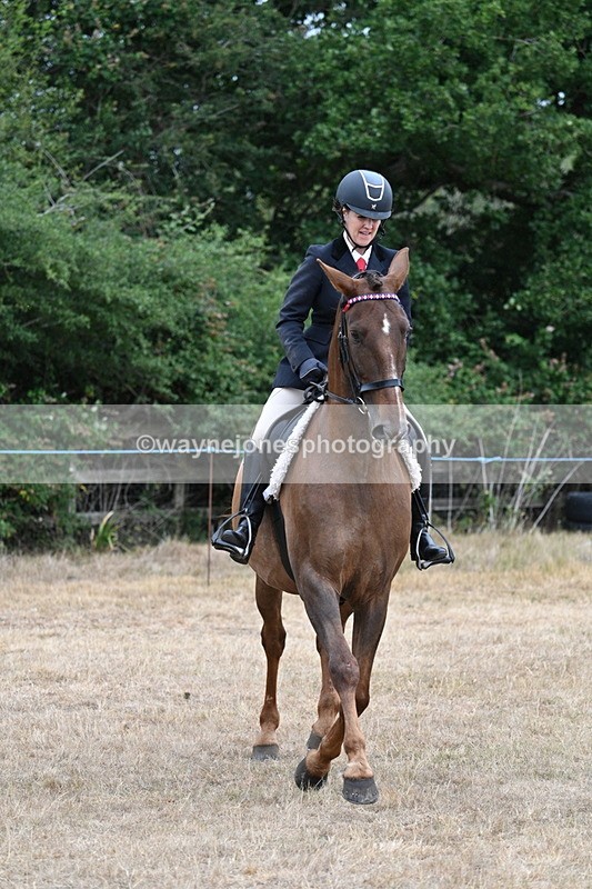WJ7_0841 - Class 7 Riding Club Show Horse