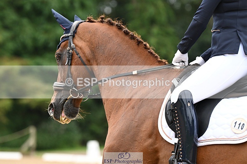 240811-101743-04982 - 110-Helen.Kitto-Da.Vinci.IV