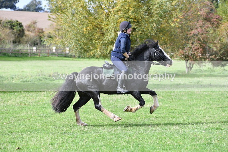 WJ5_0046 - Time 13:25 to 13:58