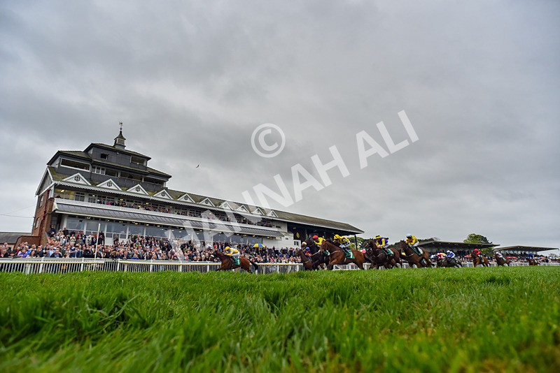 040524-Race 2-Wobwobwob-4328 - Race 2