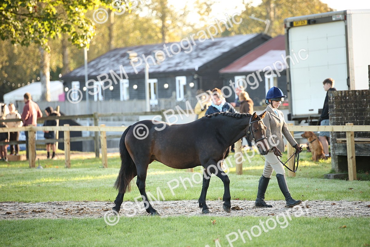 SBM_32246 - S8 - Best Turned Out