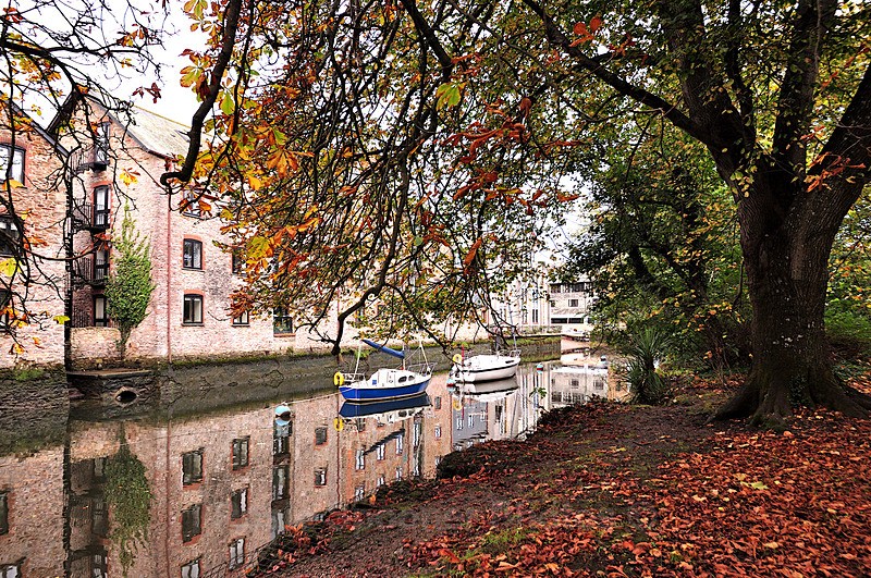 Autumn Reflections at Totnes - Devon Misc