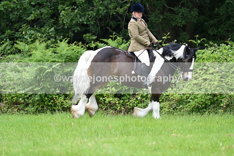 WJ7_2370 - Class 12A Coloured Class