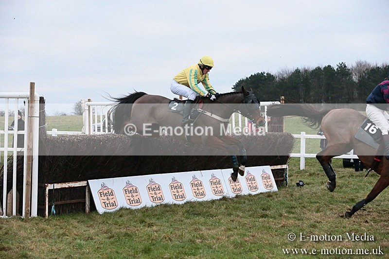 PtP 060119 584 - Larkhill Racing Club - Point-to-Point- 06/01/2019