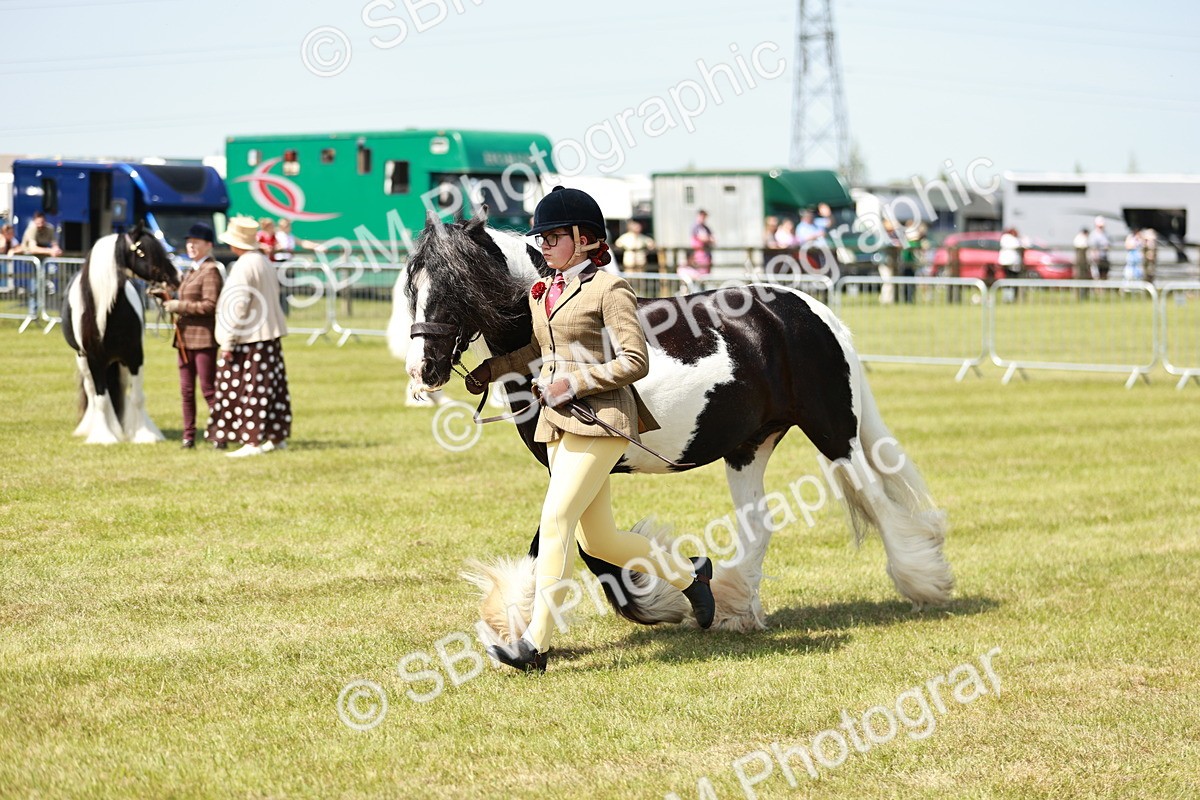 SBM_04217 - Class 39-40 - BSPA Coloured In Hand