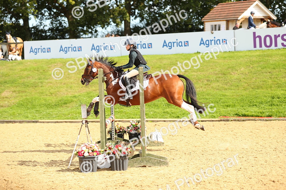 SBM_67362 - J17 - Junior Pony 80cm Championship