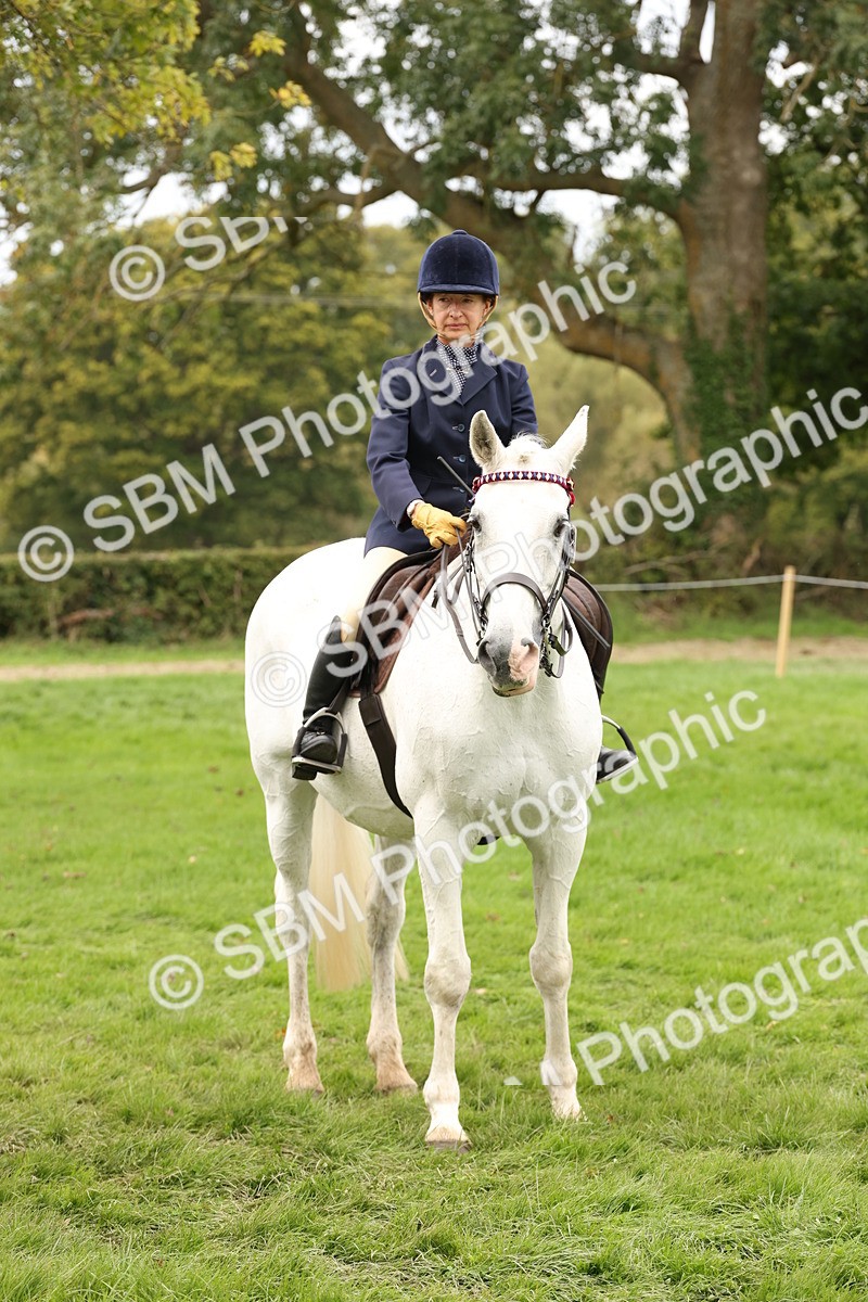 SBM_64278 - S65 - Riding Horse & Hack & Thoroughbred Ridden