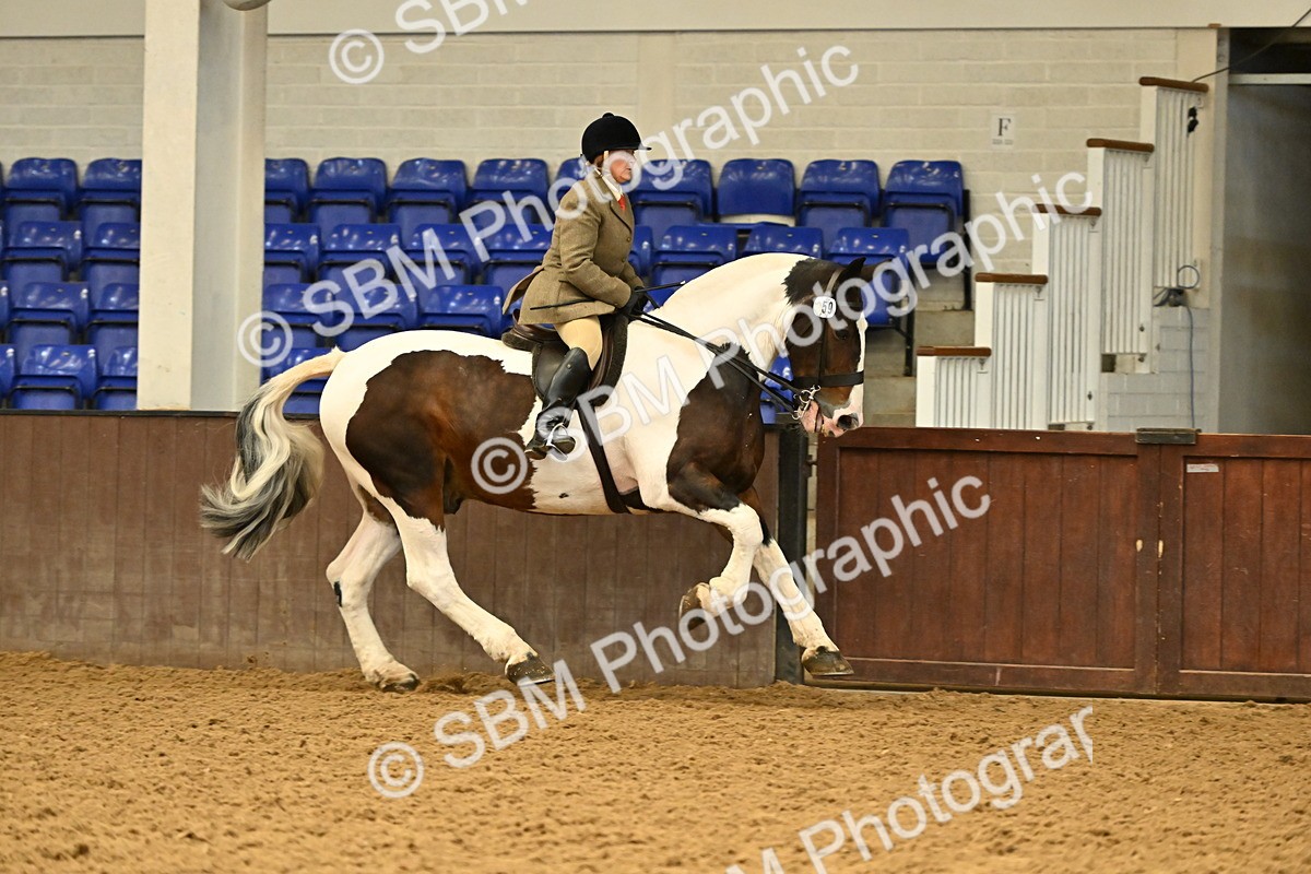 SBM_002040 - Class 21 - BSHA Ridden Show Cob